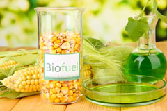 Hoden biofuel availability