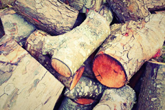 Hoden wood burning boiler costs
